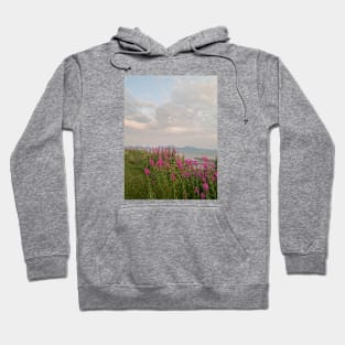 Nature Hoodie